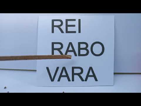 COMO APRENDER LER RÁPIDO | VEJA...