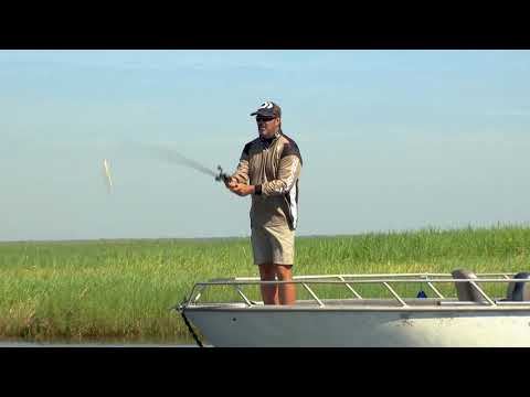 Heavy Duty Lure: Realis Fangbait 120DR with Mark Berg