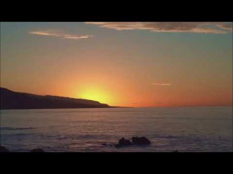 Roberto Carlos - A palavra adeus