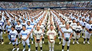 🤖甲子園球児がChatGPTを活用！？AIが高校野球を変える瞬間⚾#甲子園 #高校野球 #ChatGPT #生成AI #AI #野球 #スポーツ #夏の甲子園 #高校球児 #野球ニュース