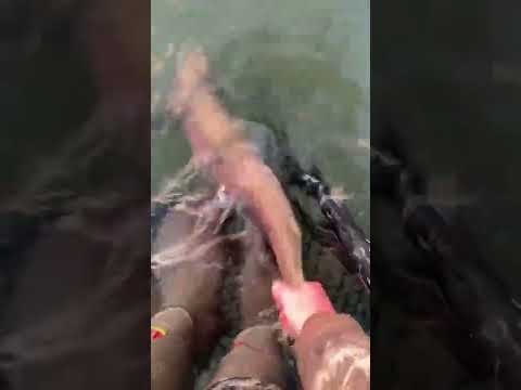 This Is Heaven (📍Pyramid Lake, Nevada)