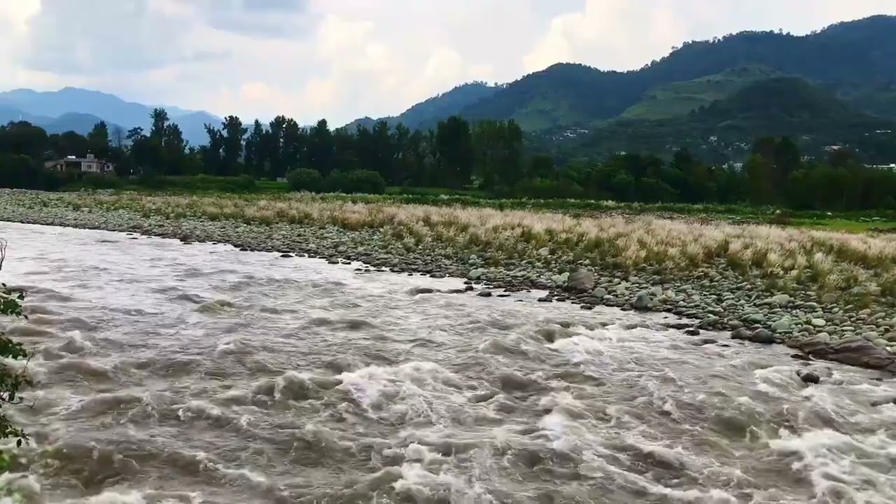 30 Minutes of Relaxing River Sounds for Sleeping - Stream Sounds