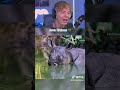 Animals That Will Be Extinct Soon