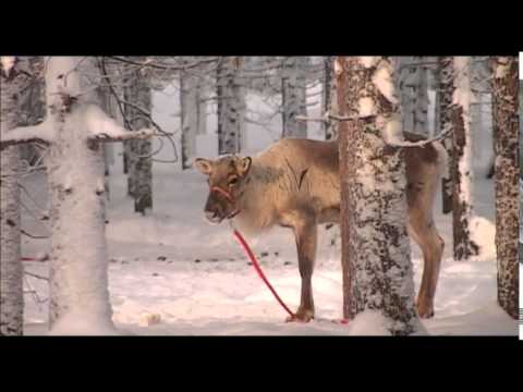 Video thumbnail for Rudolph The Red-Nosed Reindeer (Instrumental)