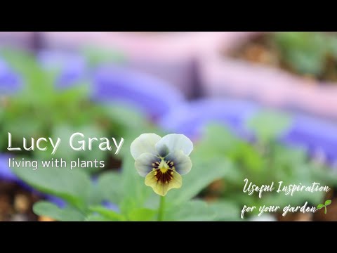 チャービス、シェパーズベルル、チルイ、ジロール、シウム・シサルム