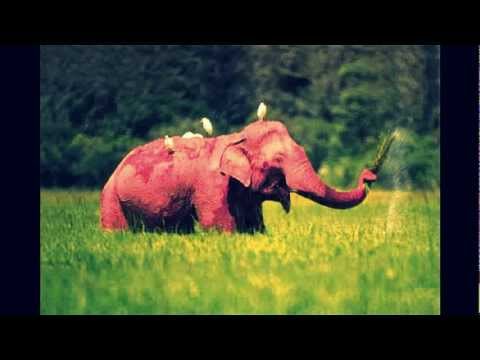 Tetris - Pink Elephant