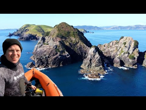 I regret not Spearfishing here sooner!