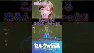 ライネルいるなら言って！？行かないから！ #ブレワイ #ゼルダの伝説ブレスオブザワイルド #shorts
