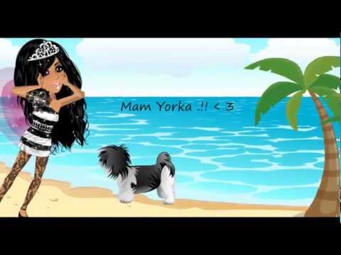 Maaam Jooorkaaa