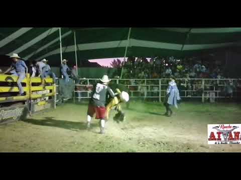 Rodeo Americano 🇺🇸 King Kong 🐂