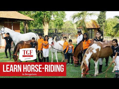 Horse riding school in Bangalore | Embassy school | Learn Horse Riding