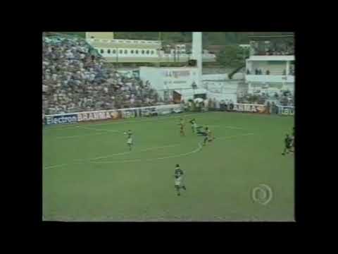 Portuguesa Santista 1 x 2 Palmeiras - Campeonato P...