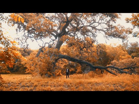 Julian Skiboat - Selfish (Official Music Video)