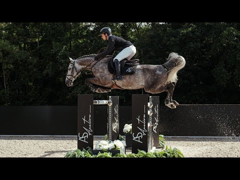 Copain de Minka Z - Jumping