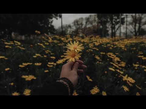 Kalbinde Birileri Var - Perdenin Ardındakiler ( Akustik Cover)