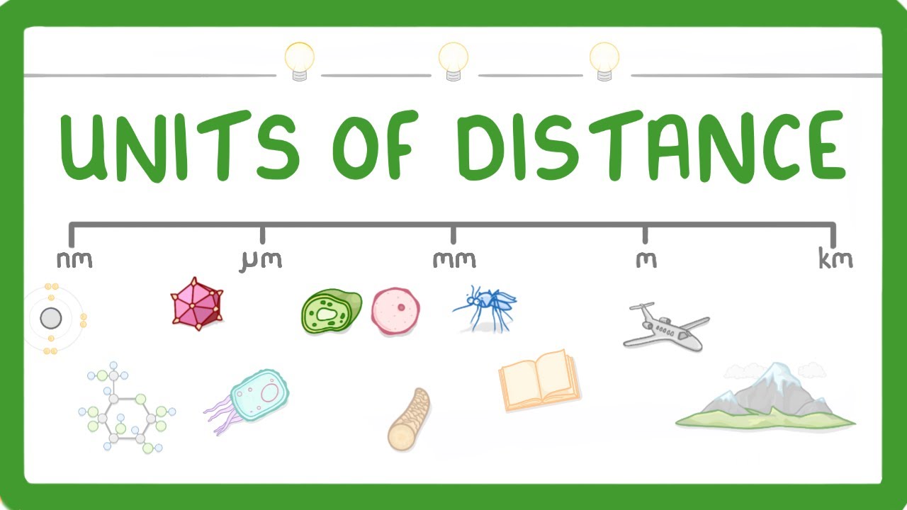 GCSE Biology - How to convert between nm, um, mm, m and km #4