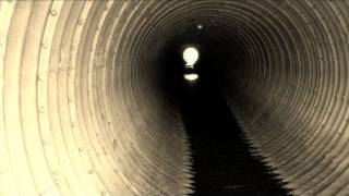 Mark Lanegan/The Walkabouts - Feel Like Going Home