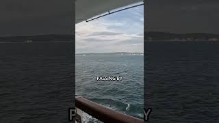 Bars & Casual Dining on the P&O Pacific Encounter Cruise from Brisbane