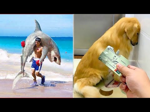 Smart Dog Hero | Dogs are Friends, Not Animals 😍🐶 #41