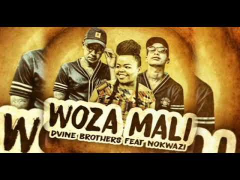 Dvine Brothers feat Nokwazi-Woza Mali