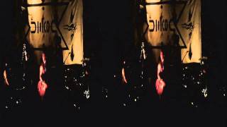 Sleepytime Gorilla Museum - Final Show - The Companions - 3D Footage - April 10th 2011