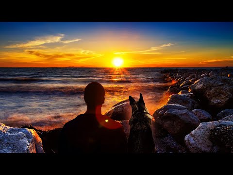 Stranger On The Shore ~ Acker Bilk [HD]