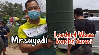 Download lagu AKSI LOVEBIRD 'WAWA' DI PIALA NANJUNG 105 GKL RONGGOLAWE mp3 Download lagu AKSI LOVEBIRD 'WAWA' DI PIALA NANJUNG 105 GKL RONGGOLAWE mp3