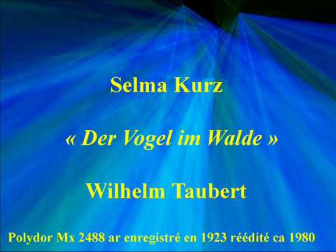 Selma Kurz   Der Vogel im Walde   Wilhelm Taubert     Polydor Mx 2488 ar enregistré en 1923 réédité