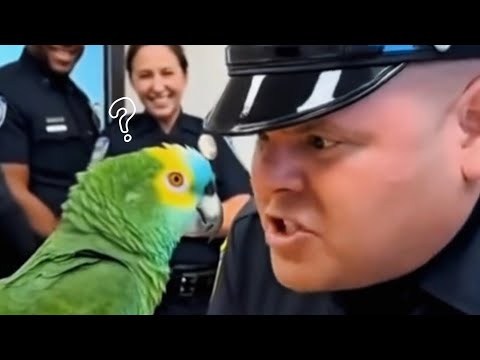 🦜TalkingParrot VS Police Officer🤣 In The Court EveryOne Got Roasted Funny Compilation #talkingparrot