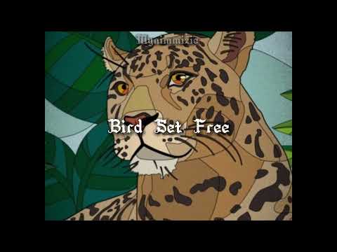 Sia - Bird Set Free (sped up)