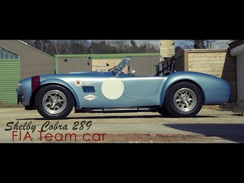 Shelby Cobra 289 FIA