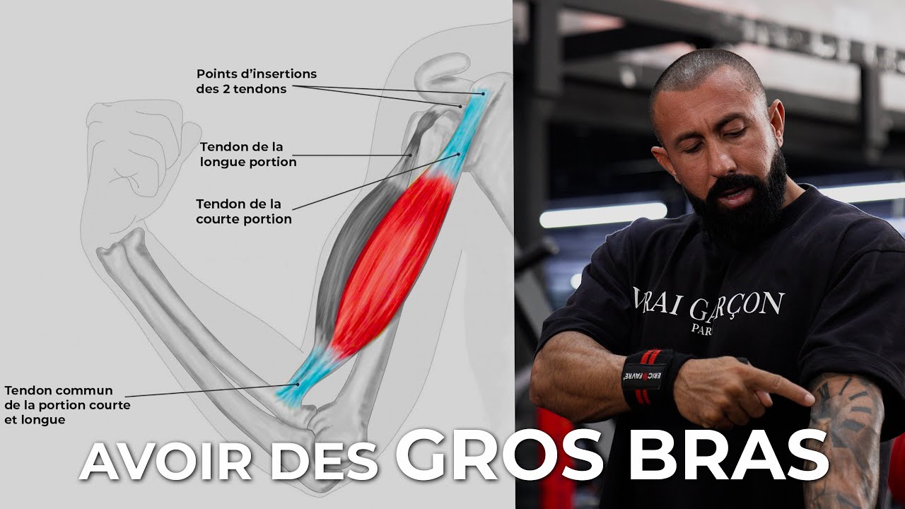 COMMENT AVOIR DE GROS BRAS ? BICEPS