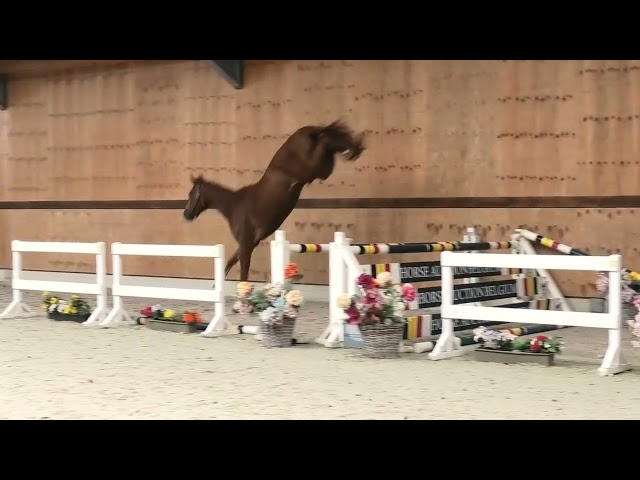 Jumping