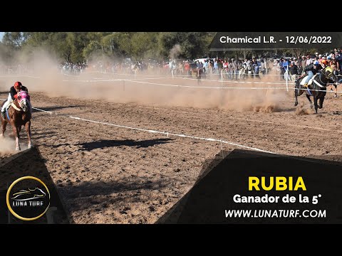 HIP. "EL QUEBRACHAL" CHAMICAL L.R. || 12/06/2022 ::  RUBIA; MANSITO; CORAZON DE ORO