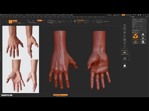 Introduction to Zbrush 16 - Hand 03