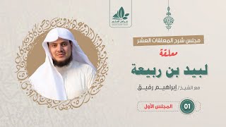 صورة شرح معلقة لبيد بن ربيعة _ المستوى الثالث _ الشيخ إبراهيم رفيق