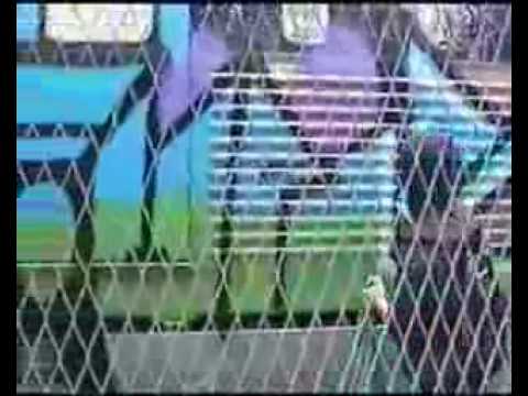 f-ups graffiti action confronted by driver