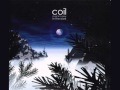 Coil - Musick To Play In The Dark [1999] 