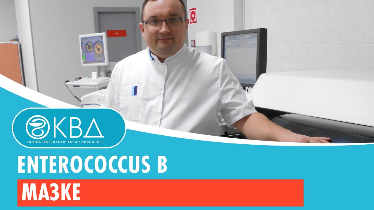 157  Enterococcus в мазке