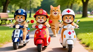 Download lagu Mama Cat Trims Fur on the Farm and Makes Tiger Hat For Kittens At Home🐾🎩🐯 mp3