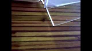 Crazy drunk housefly spin