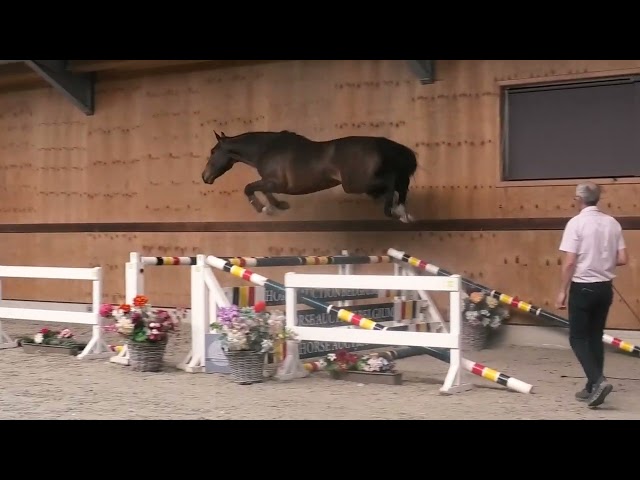 Jumping