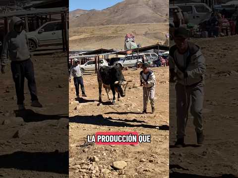 Feria de Uncia, principal mercado tradicional y centro de intercambio comercial del Norte de Potosí