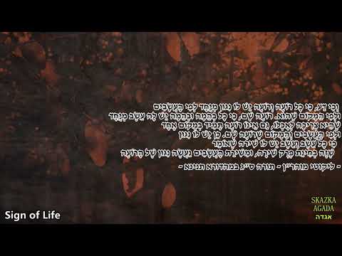 Skazka:Rubi Dervis - Sign Of Life