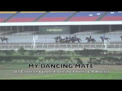 AFICION HIPICA TV DOMINGO 01 DE FEBRERO 2015