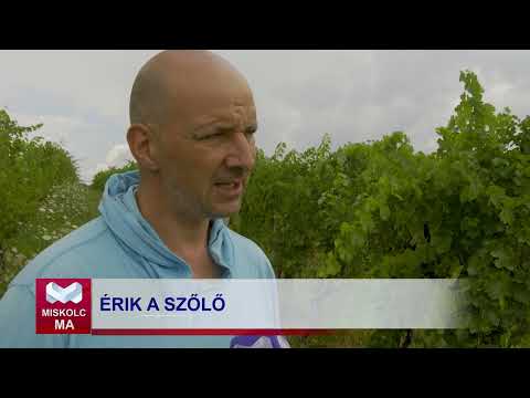 Videó előnézet