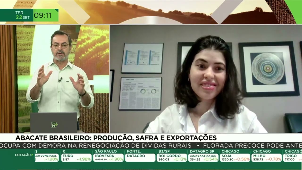 Abacate: Brasil busca ampliar exportações e consumo no mercado interno