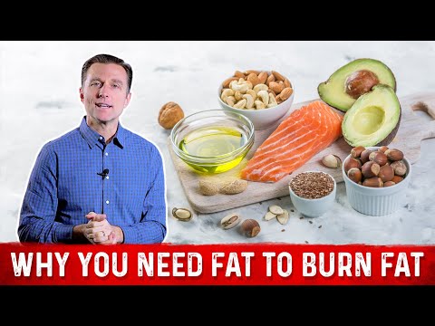 The Ultimate Fat Burning Guide Dr Berg s Webinar on Maximum Weight Loss