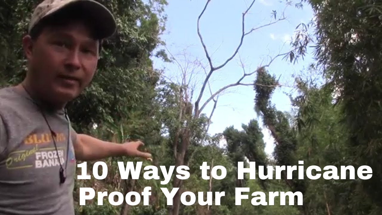 10 Ways a Farm in Puerto Rico Is Making itself Hurricane Proof - YouTube