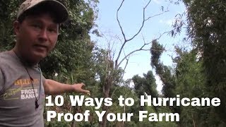 10 Ways a Farm in Puerto Rico Is Making itself Hurricane Proof
